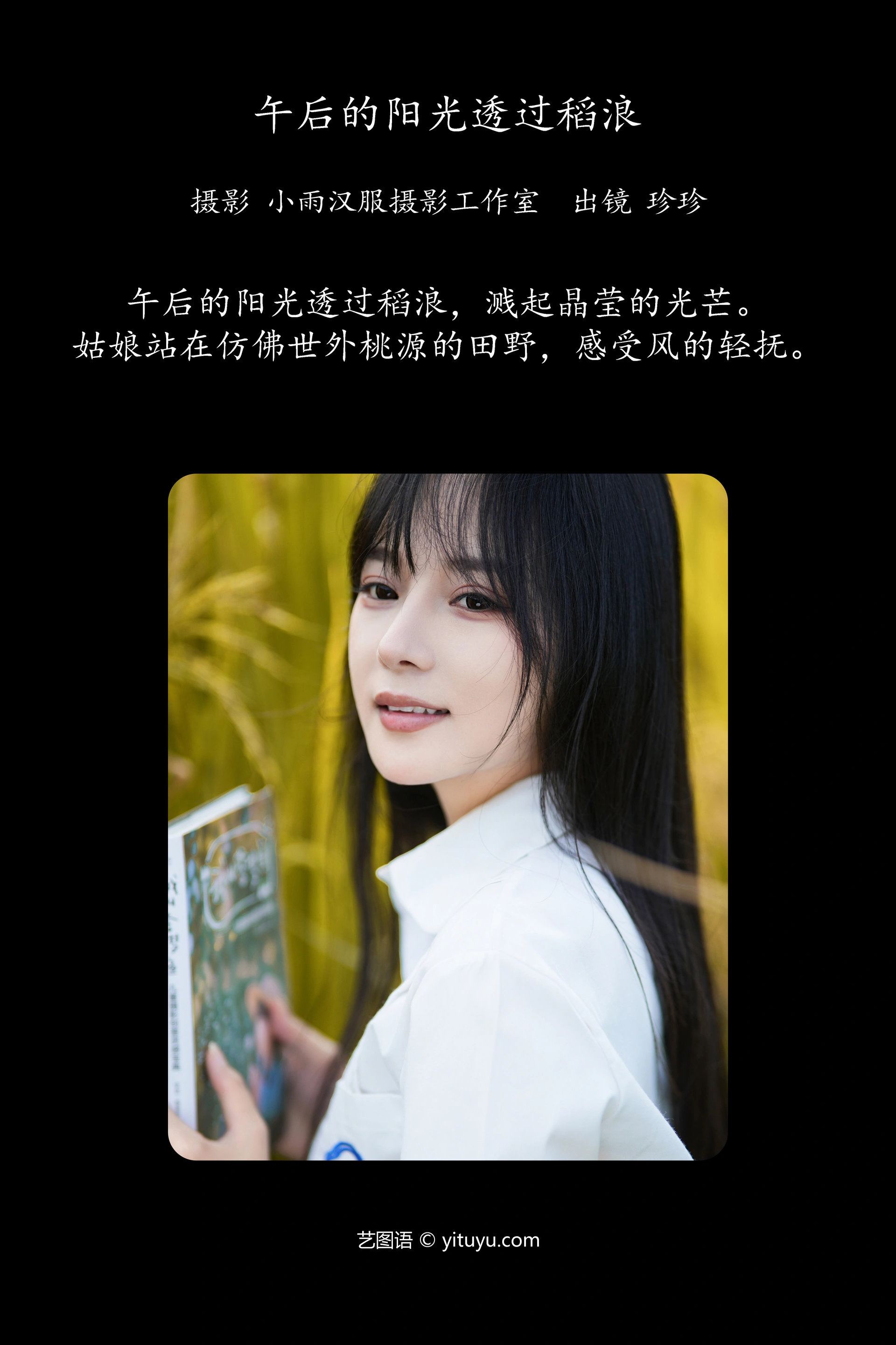 [YITUYU艺图语]2023.11.26 午后的阳光透过稻浪 我是小岁岁 0